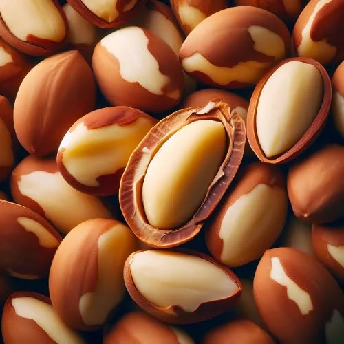 Untitled design - 2024-04-21T175554.745